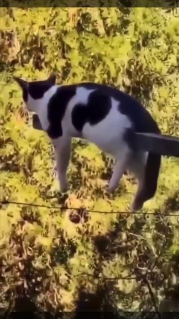 13 самых удобных поз для сна 😂 смотреть онлайн