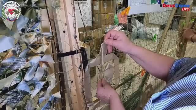 LIVE Омск в объективе - 24/7/365 #ОмскСтрим социальный онлайн-канал смотреть онлайн