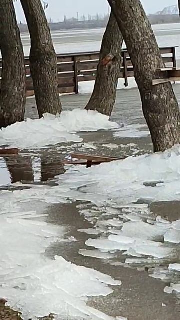 Ледоход смотреть онлайн