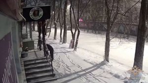 В Сахалинской области полицейские раскрыли кражи новогодних украшений