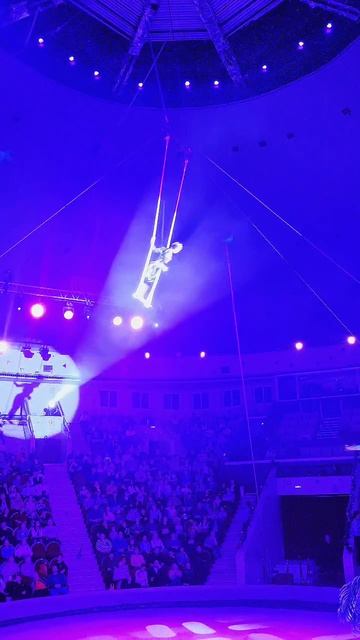 Тень под куполом цирка. смотреть онлайн