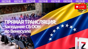 Экстренное заседание Совета Безопасности ООН по Венесуэле. Прямая трансляция