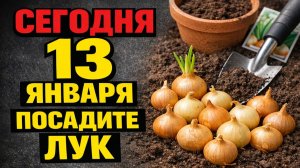 Что сделать с луком 13 января на Старый Новый год, чтобы в доме по‑другому пошли деньги