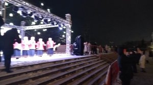 Новогодний Владимир