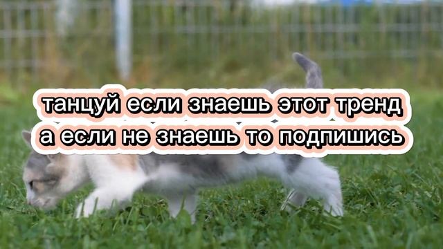 танцуй если знаешь этот тренд💛💖🎄 смотреть онлайн