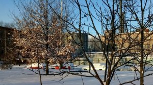 Сквер Юрия Кнорозова. Санкт-Петербург.