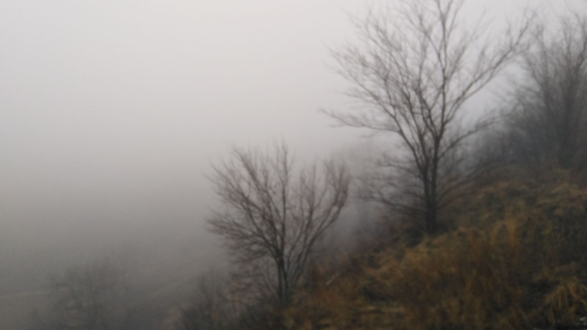 Атмосферная прогулка по туманной горе, приглашаю вас тоже))