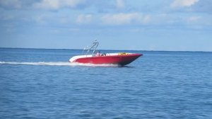 ВИДЕО  ПВН  ББ   (1396)