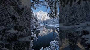 Незнакомка моя знакомая