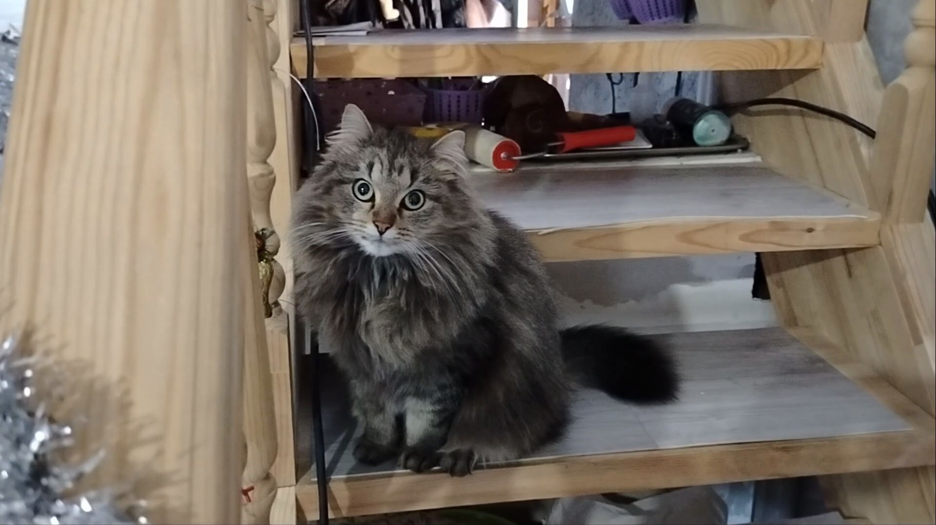 УЮТНЫЙ ВЕЧЕР ДОМА! / ОТДЫХАЕМ И РАДУЕМСЯ ЖИЗНИ ☕ смотреть онлайн