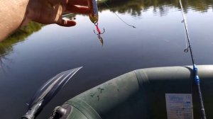 Речной убийца