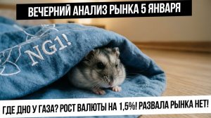 Вечерний анализ рынка 5 января. Газ упал! Где дно? Валюта +1,5%! Девальвация началась? Индекс хорош!