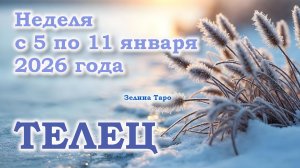 ТЕЛЕЦ | ТАРО прогноз на неделю с 5 по 11 января 2026 года