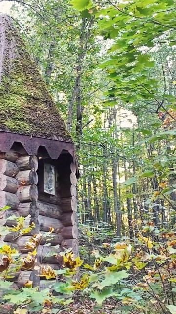 Там где кончается асфальт, начинается Россия. Эпизод 4 из нашей осенней поездки в глубинку России