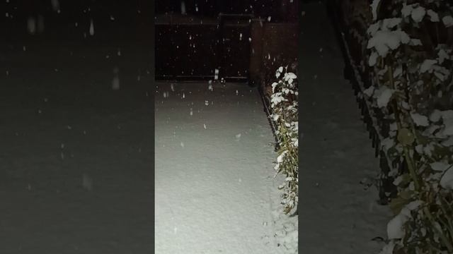 Ураа снег! Это так красиво. 