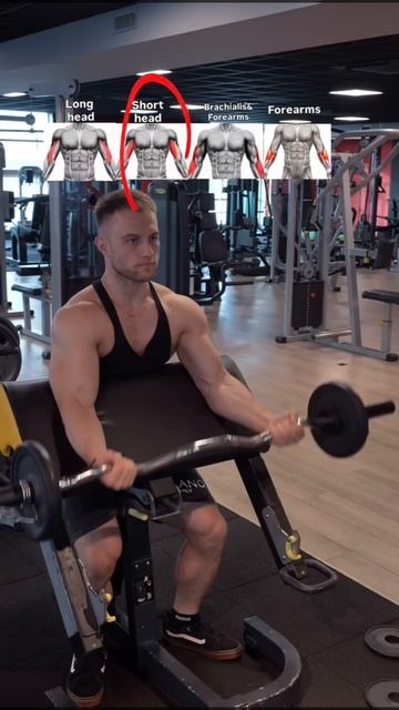 Тренировка рук W-образный гриф. смотреть онлайн