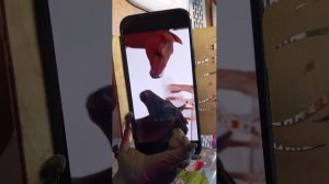 оцениваем любые шляй-сериалы