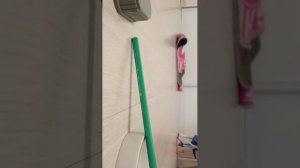 сегодня я снимаю один день глазами лошади