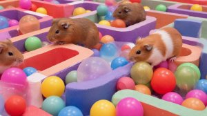 РАЗВЛЕКАТЕЛЬНОЕ ВИДЕО ДЛЯ ДЕТЕЙ