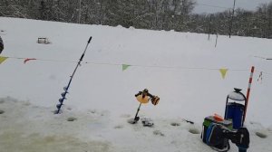 обзор поимок после зарыбления