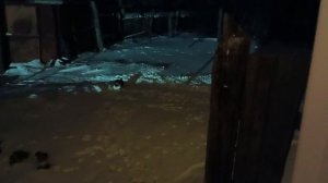 Встреча нового 2026 года с сыном Андреем