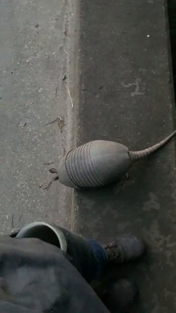 Такой концовки я и сам не ожидал (138) смотреть онлайн