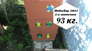 Медосбор 2-х маточной семьи за 2025 год