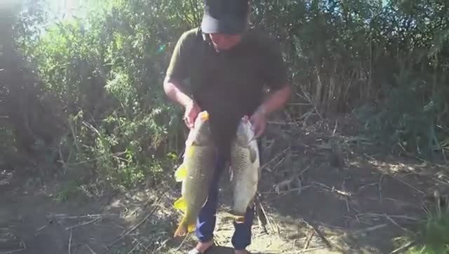 РЫБАЛКА С НОЧЁВКОЙ НА САЗАНА. Бешбармак на природе, очень вкусно! смотреть онлайн