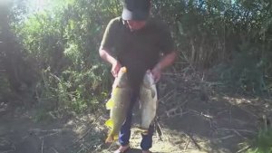 РЫБАЛКА С НОЧЁВКОЙ НА САЗАНА. Бешбармак на природе, очень вкусно!