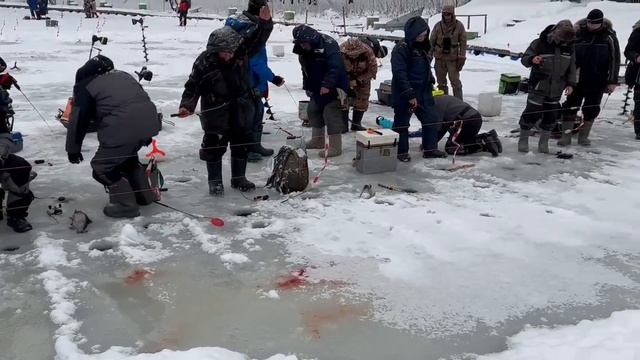 05.01.26 г. РК Волна. смотреть онлайн