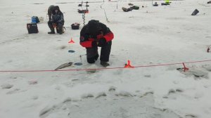 video5393151383744578671