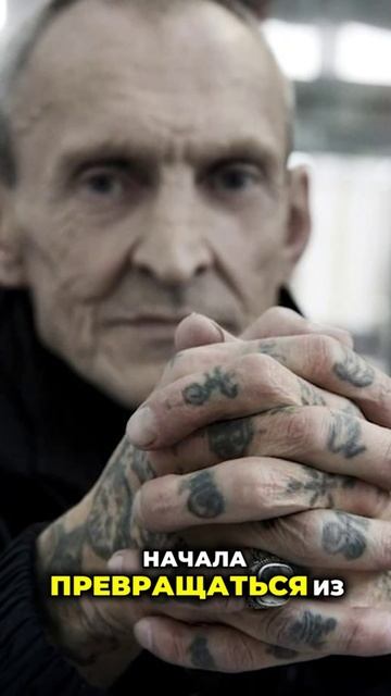 тюремные наколки времен гулага #тюремныенаколки #наколки #какделатьтату #гулаг #татумосква смотреть онлайн