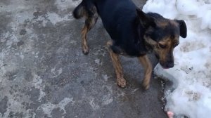 Спасибо Вам Большое