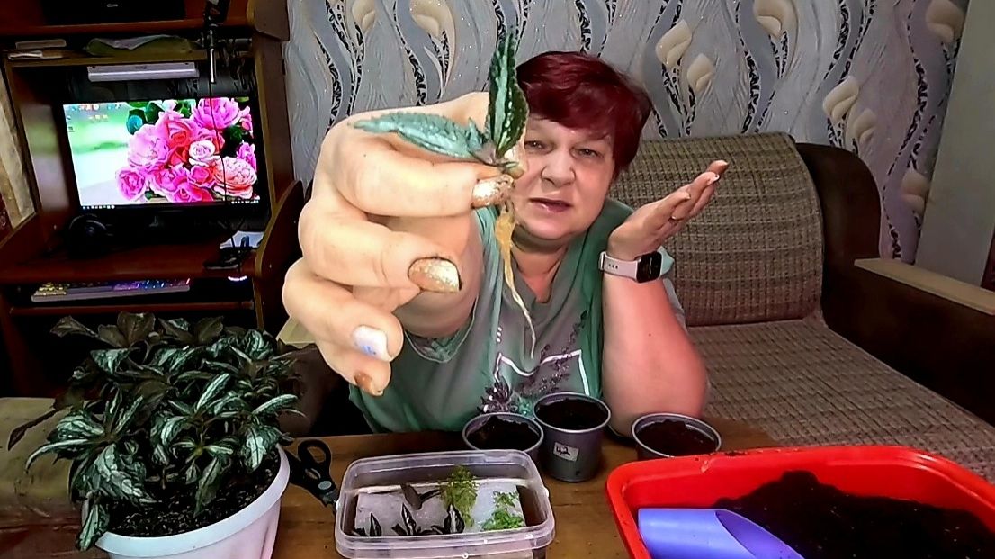 Только так вы получите 💯 результат!! смотреть онлайн