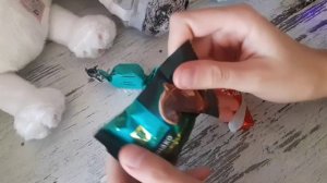 новогодний влог с басиком и Лили!