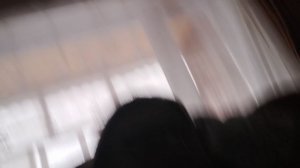 в гостях у подруги в секрете