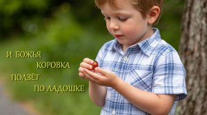 И БОЖЬЯ КОРОВКА ПОЛЗЁТ ПО ЛАДОШКЕ...