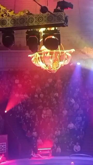 🎪 Магия арены 🏟️ яркие эмоции и незабываемые впечатления 😍 (ч.1)