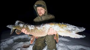 ЖИВУ В ПАЛАТКЕ. ОГРОМНЫЕ ЩУКИ НЕ ЛЕЗУТ В ЛУНКИ.
