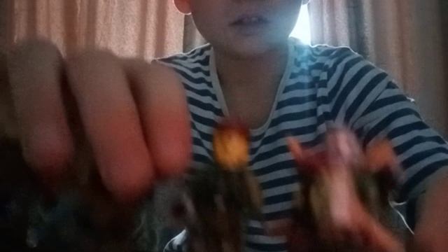 LEGIN MASTER смотреть онлайн