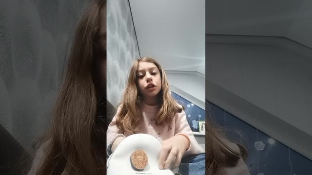 VID_20260105_170844.mp4 смотреть онлайн