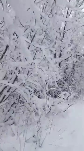 УСПЕХА_И_ВДОХНОВЕНИЯ_В_НОВОМ_ГОДУ!_#violin_#cover_#music смотреть онлайн