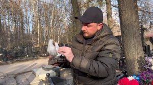 НАВОДИМ ПОРЯДОК НА МОГИЛЕ КУМИРА ВСЕХ ДЕВЧОНОК 90Х | ЗАБРОШЕННАЯ МОГИЛА ЖЕНИ БЕЛОУСОВА | 12.2025