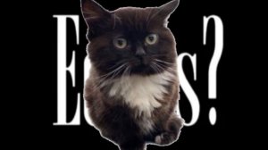 ARCADE FUNK-DJ VIBER, edit:tuning club online