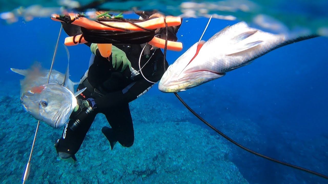 Подводная охота / Свободное погружение до встречи с монстром. / Полосатый джек смотреть онлайн