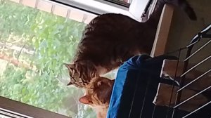 а что писать?