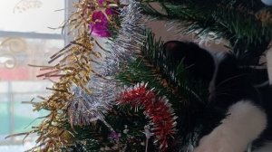 Сам себя взял в плен