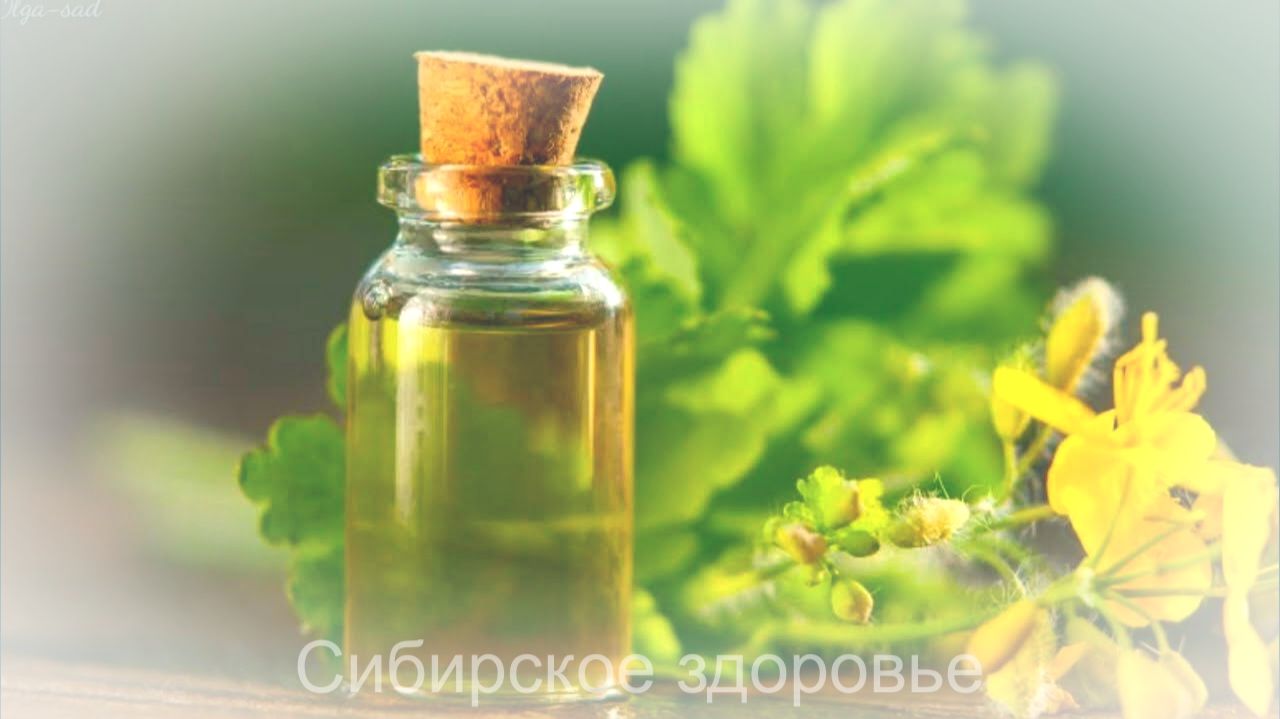 ЦЕЛЕБНЫЕ СЕКРЕТЫ БАБУШКИНОЙ ТРАВЫ смотреть онлайн