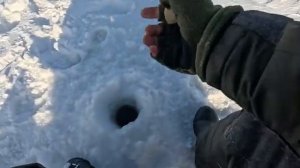 БЕЗМОТЫЛКА. Окуни КАБАНЫ. Последняя рыбалка 2025 года. #maxfisherkz