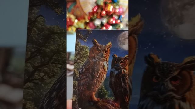 15-01-2026 года. Карта дня смотреть онлайн